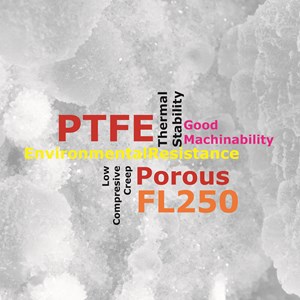 FL250 - Porous PTFE